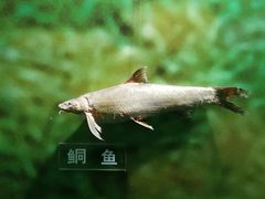 -苏州河梦清园环保主题公园