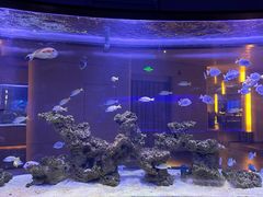 -上和臻品中国菜(花园街店)