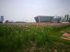 -广东财经大学(广州校区)