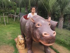 -南京银杏湖乐园