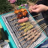 北京烤串必吃榜，来自呼伦贝尔大草原的羊肉串