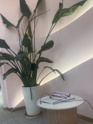 -MUSES专业脱毛比基尼サロン日式连锁