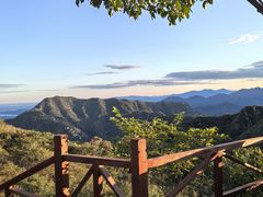 -大岭沟猕猴桃谷风景区