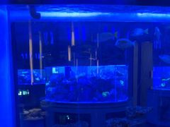 -上和臻品中国菜(花园街店)