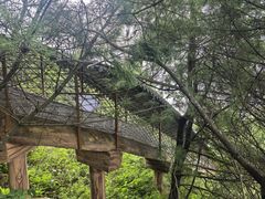 -秦岭天竺山生态文化旅游景区