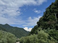 -牛背梁国家森林公园