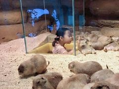 -Mr·Kuma酷么先生雪之乐园