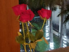 -V Bar海景扒房(北海湾惠龙万达嘉华酒店)