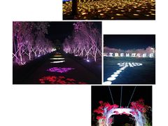 -天适樱花悠乐园