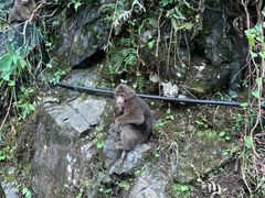 -西岭雪山大飞水景区