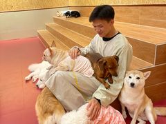 -和它·交个朋友·狗咖猫咖(爱琴海店)