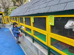 -上海崇明金茂凯悦酒店