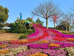-东莞植物园
