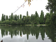 井之头恩赐公园-井之头恩赐公园