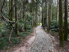 -狼山风景名胜区