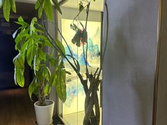 -耳域躺式采耳SPA馆(新街口店)