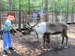 -北极村旅游风景区