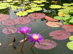 -国家植物园南园