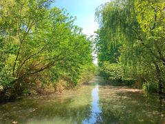 -溱湖国家湿地公园