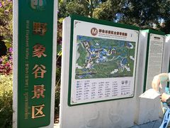 -野象谷景区
