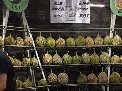 -都念榴莲·城市榴莲