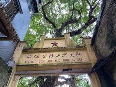 -小洲村
