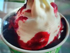 -Salud撒露欧洲冻酸奶(蓝色港湾店)