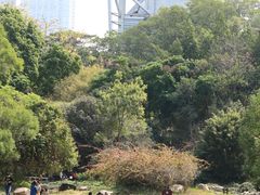 -深圳国际园林花卉博览园