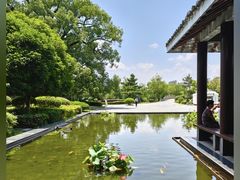 -八大山人梅湖景区