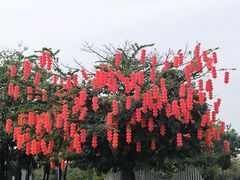 -深圳湾公园(南山区)