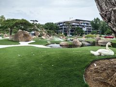 -罗红摄影艺术馆