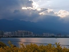 -洱海月湿地公园