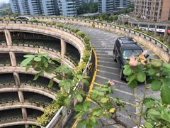 -月星家居(杭州商场店)