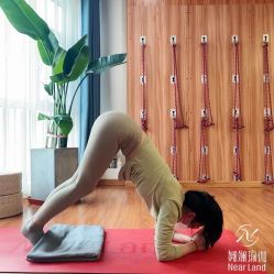 -娜斓瑜伽
