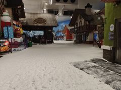 -湘江欢乐城欢乐雪域