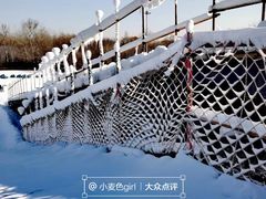 -朝阳公园