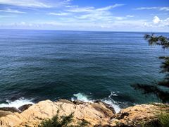 -广东惠东海龟国家级自然保护区