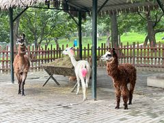 -西安秦岭野生动物园