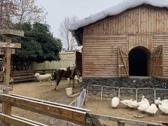 -HERRE·FARM 赫尔露营农场·团建聚会包场