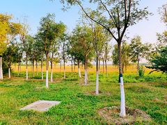 -天津东丽湖风景区