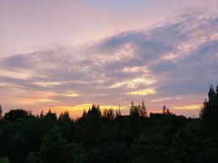 -梅林春晓花园餐厅