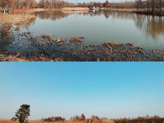 -宁波杭州湾国家湿地公园