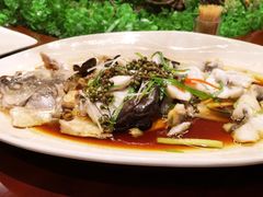 鲜花椒起片蒸海鲈鱼-胡记饭店(保工街店)