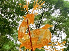 -南山植物园