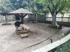 -成都动物园