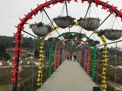 -都江堰玫瑰花溪谷