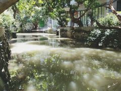 -小洲村