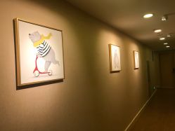 -海豚湾高端月子会所(黄浦店)