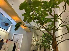 -树夏(金楠天街店)