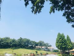 -龙吟九品(青龙山庄店)